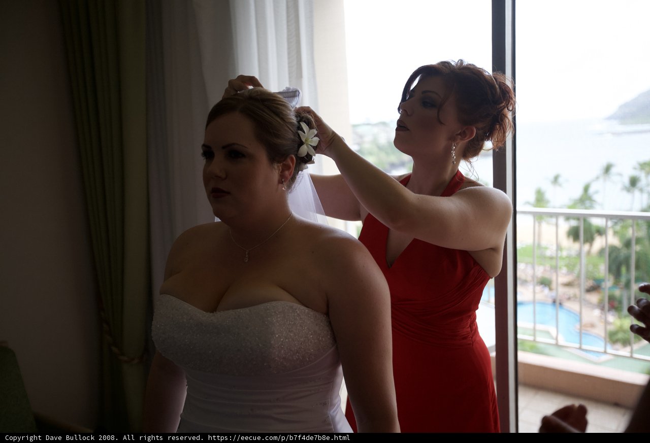 The Bride's Helper