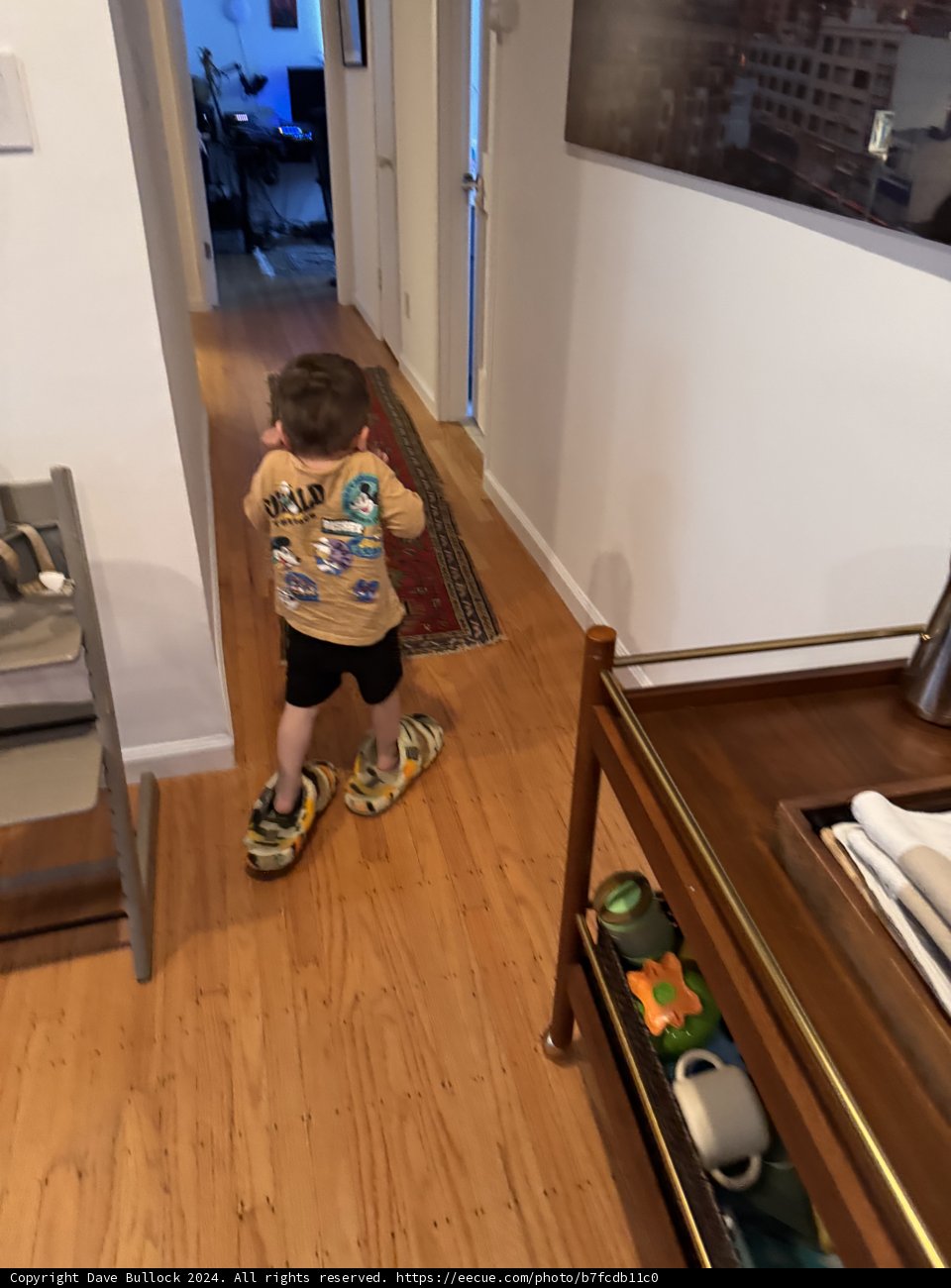 Little Explorer in Big Shoes