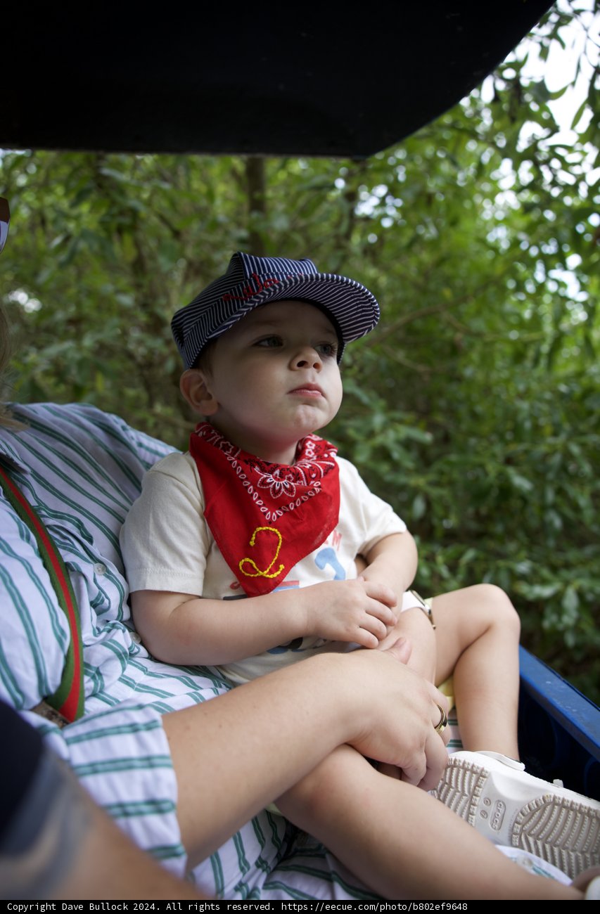 Wesley's Second Birthday Adventure