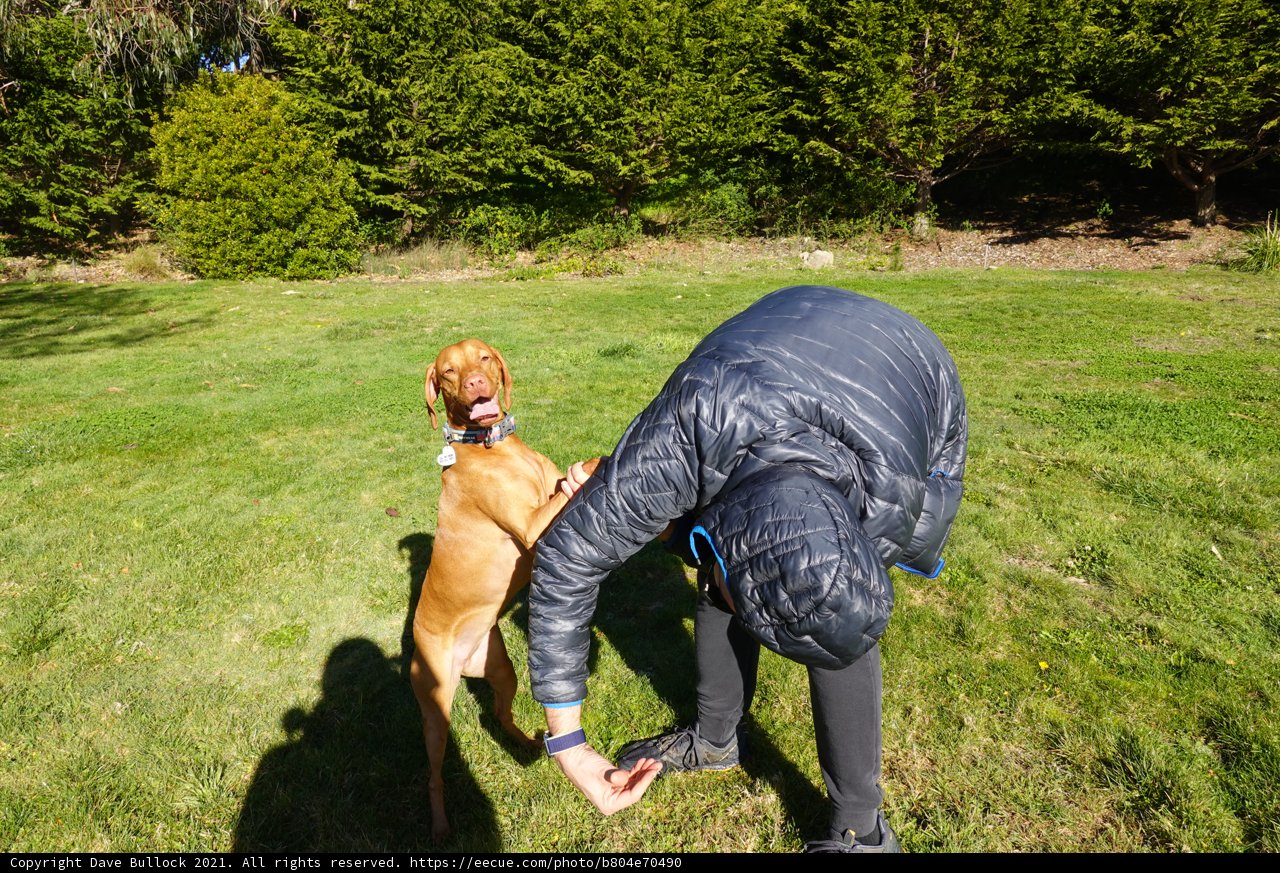 Playing with Man's Best Friend in the Park