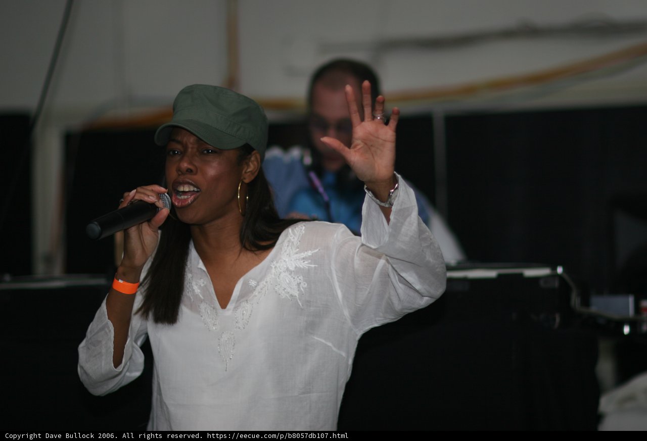 Green-Hatted Entertainer