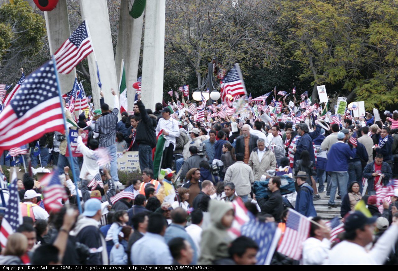 Patriotic Crowd
