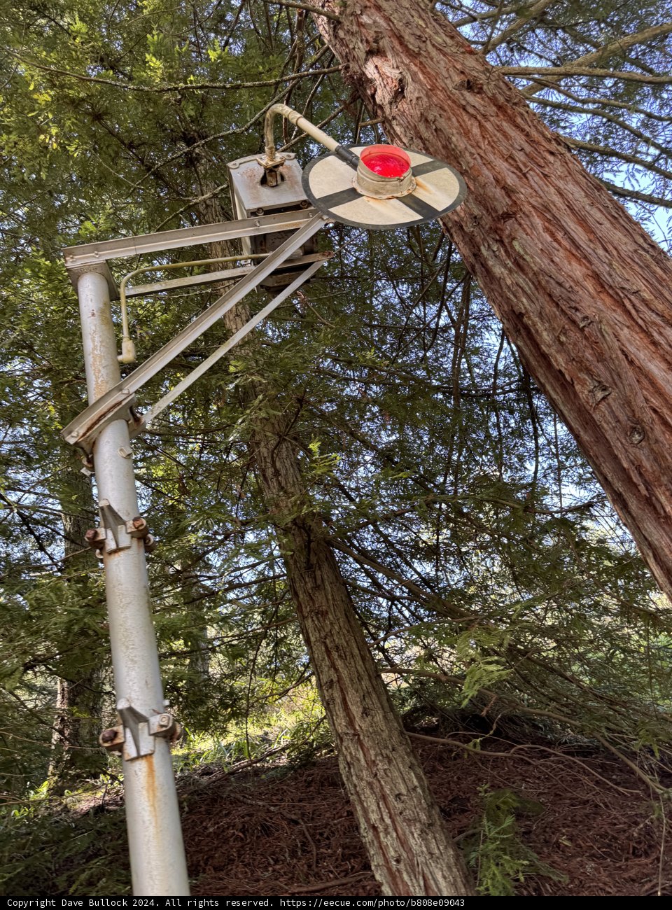 Nature Meets Industry