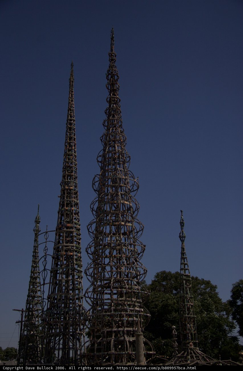 Towering Conifer Spire