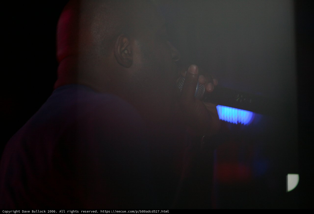 Solo Performance under the Purple Lights