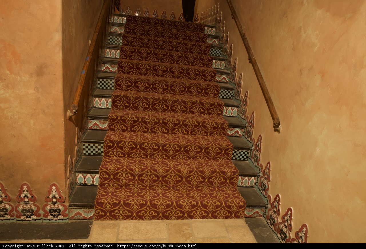 Ascend to Comfort