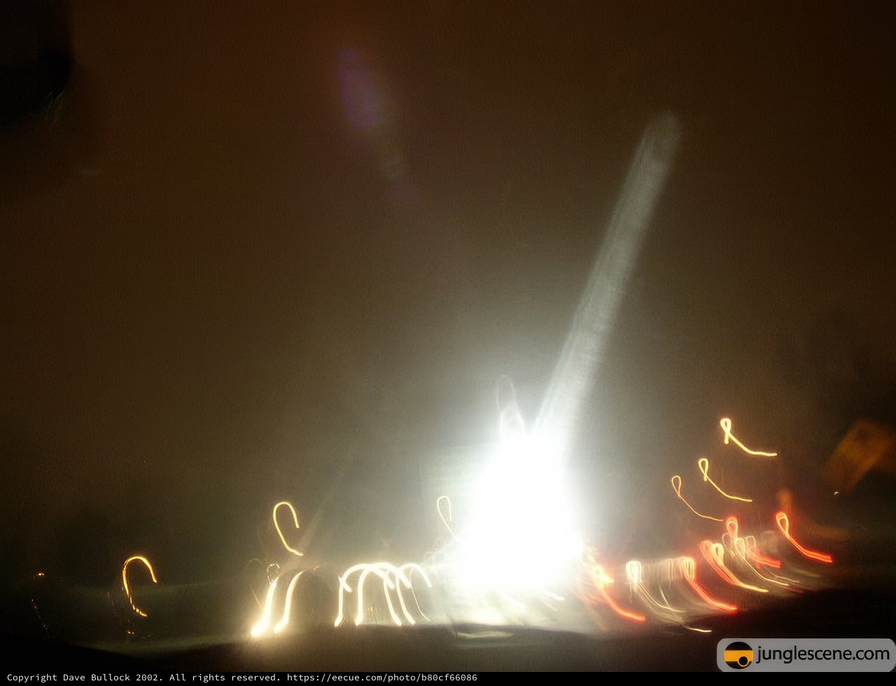 Dancing Flames in the Night Sky