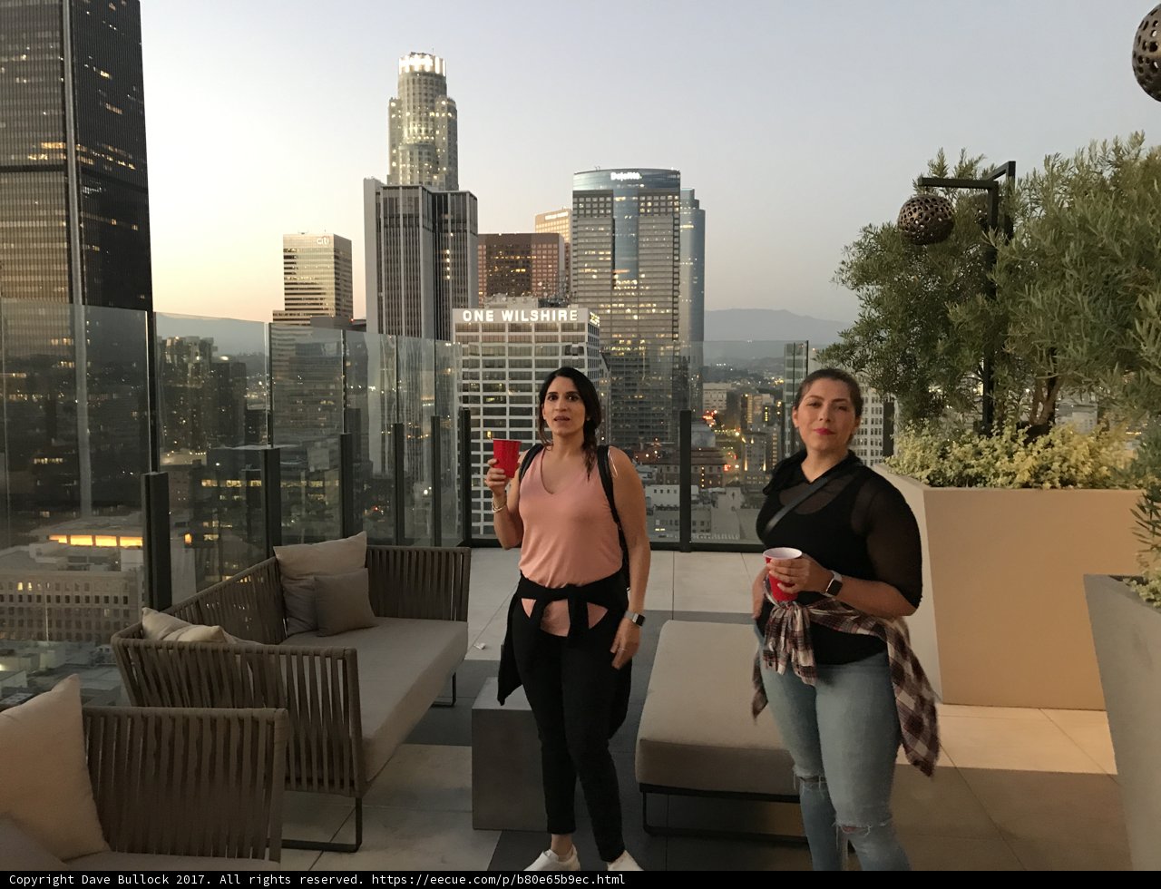Rooftop Reflections