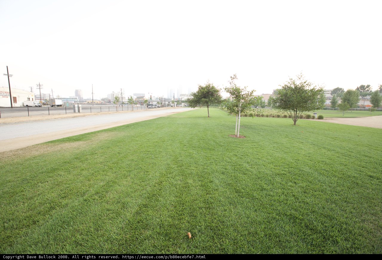 Hydrant in the Field