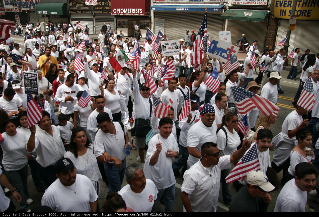 Patriotic Crowd Celebration