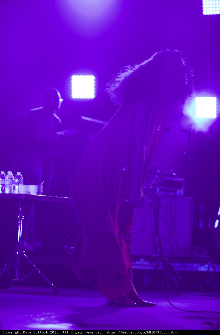 Solange Silhouette Keyboardist Purple Haze Cube Lights