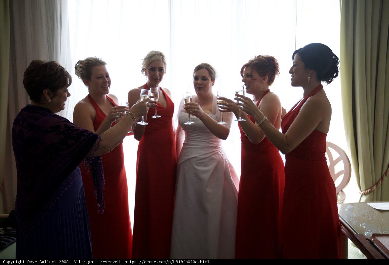 Red Dress Toast