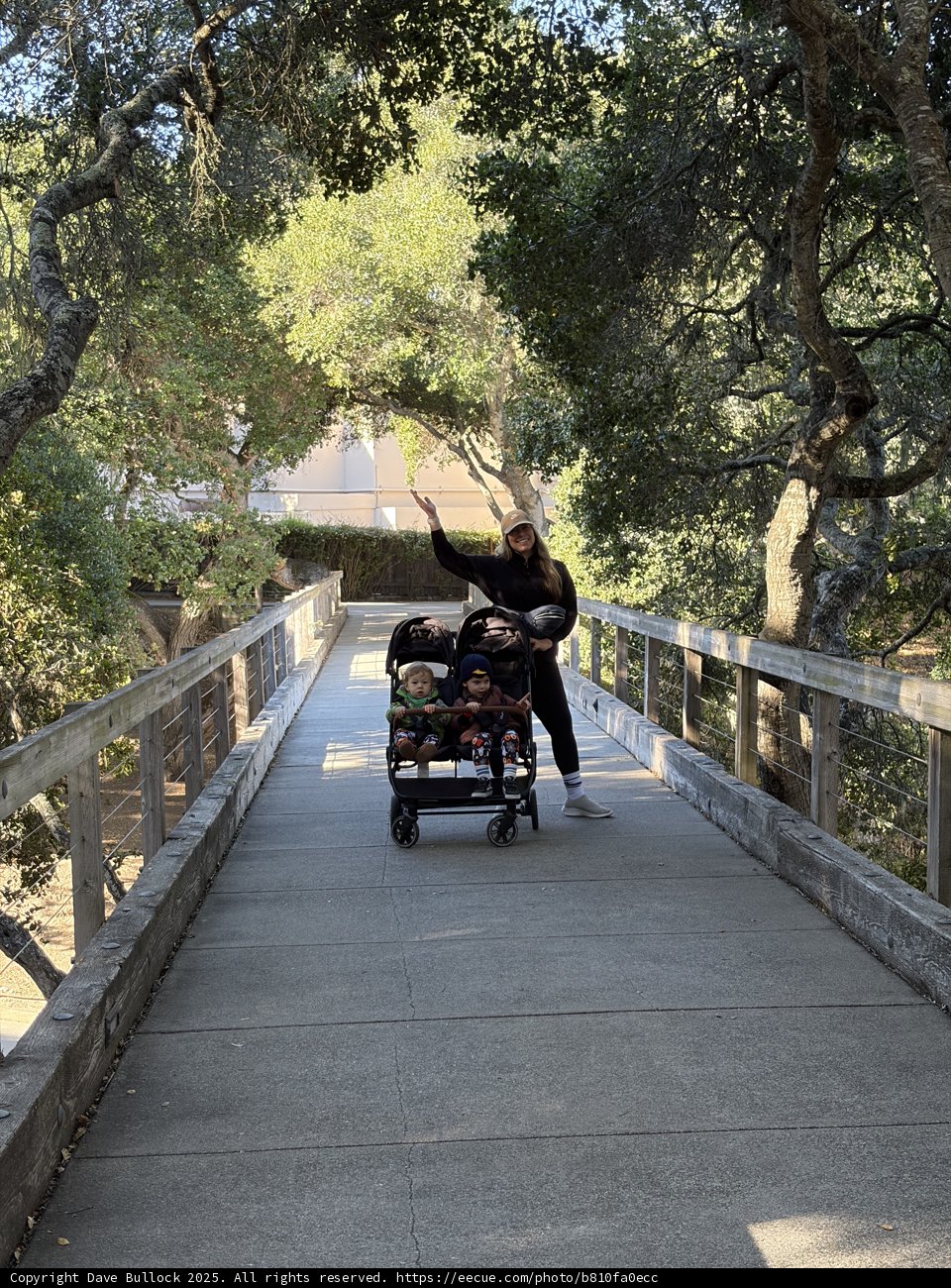 **Morning Stroll in Carmel**