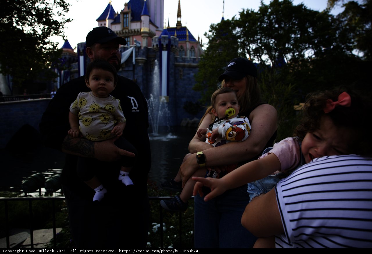 Magical Family Moments at Disneyland Castle