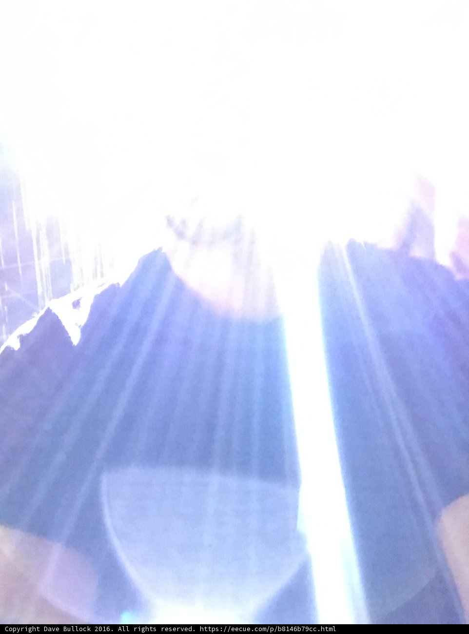 Illuminated Eyes