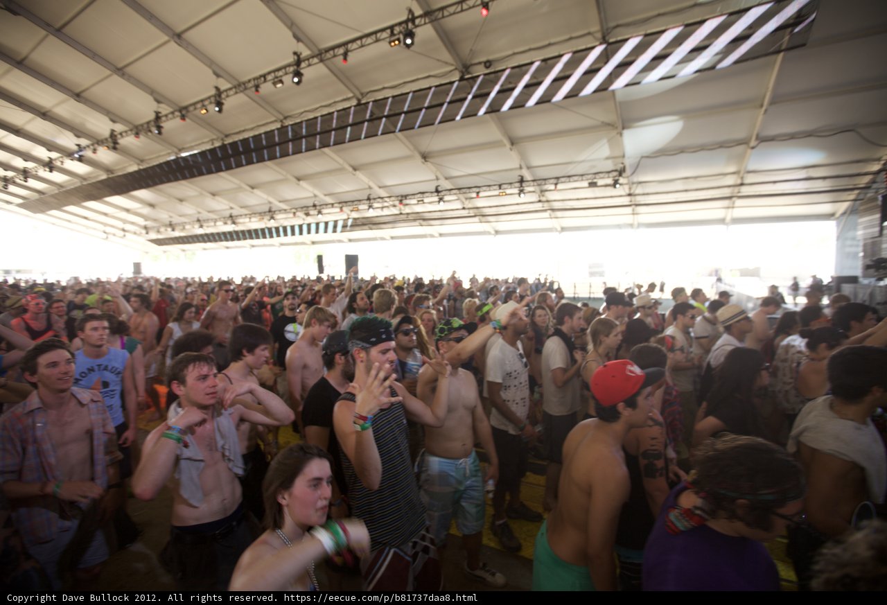 Coachella Crowd Goes Wild