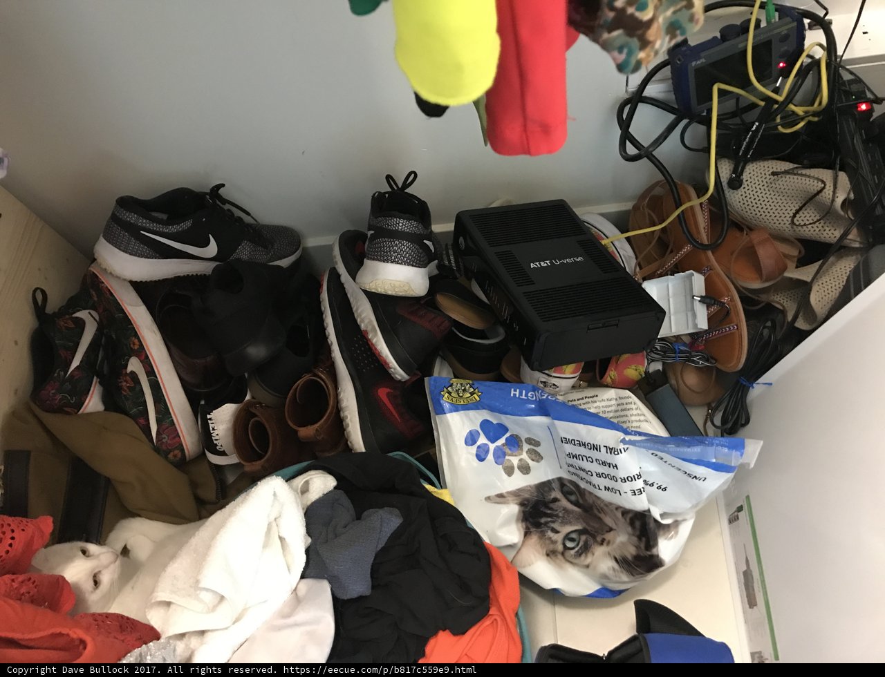 Closet Chaos