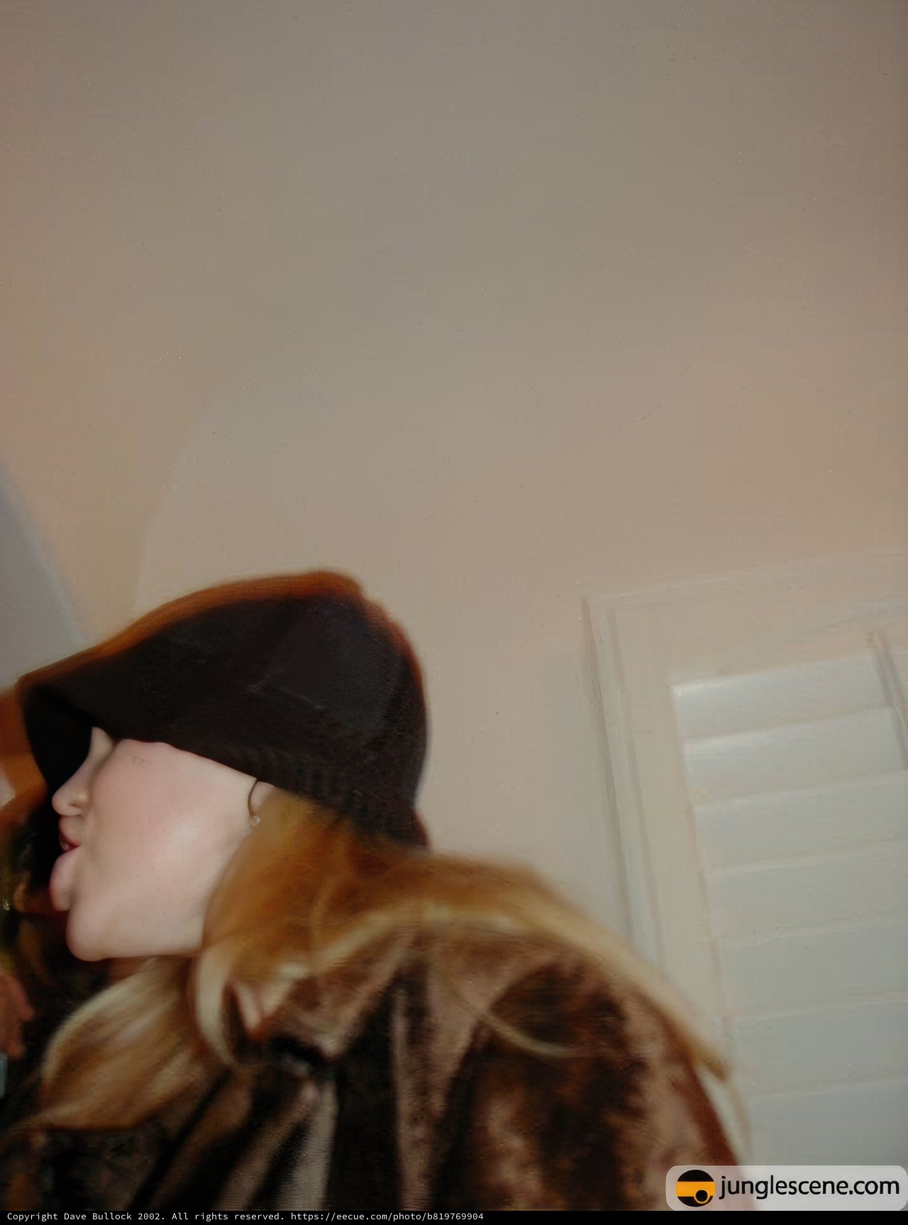 Hat-wearing Woman at Bumrussians Dinner Party