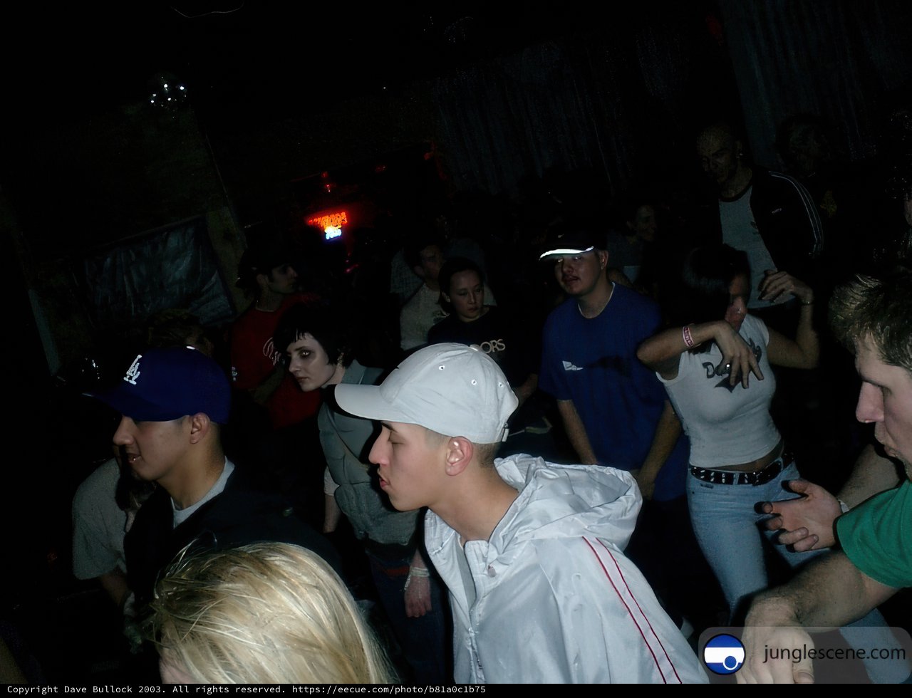 Nightclub Gathering