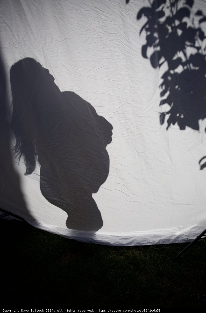 Embracing Shadows: A New Beginning