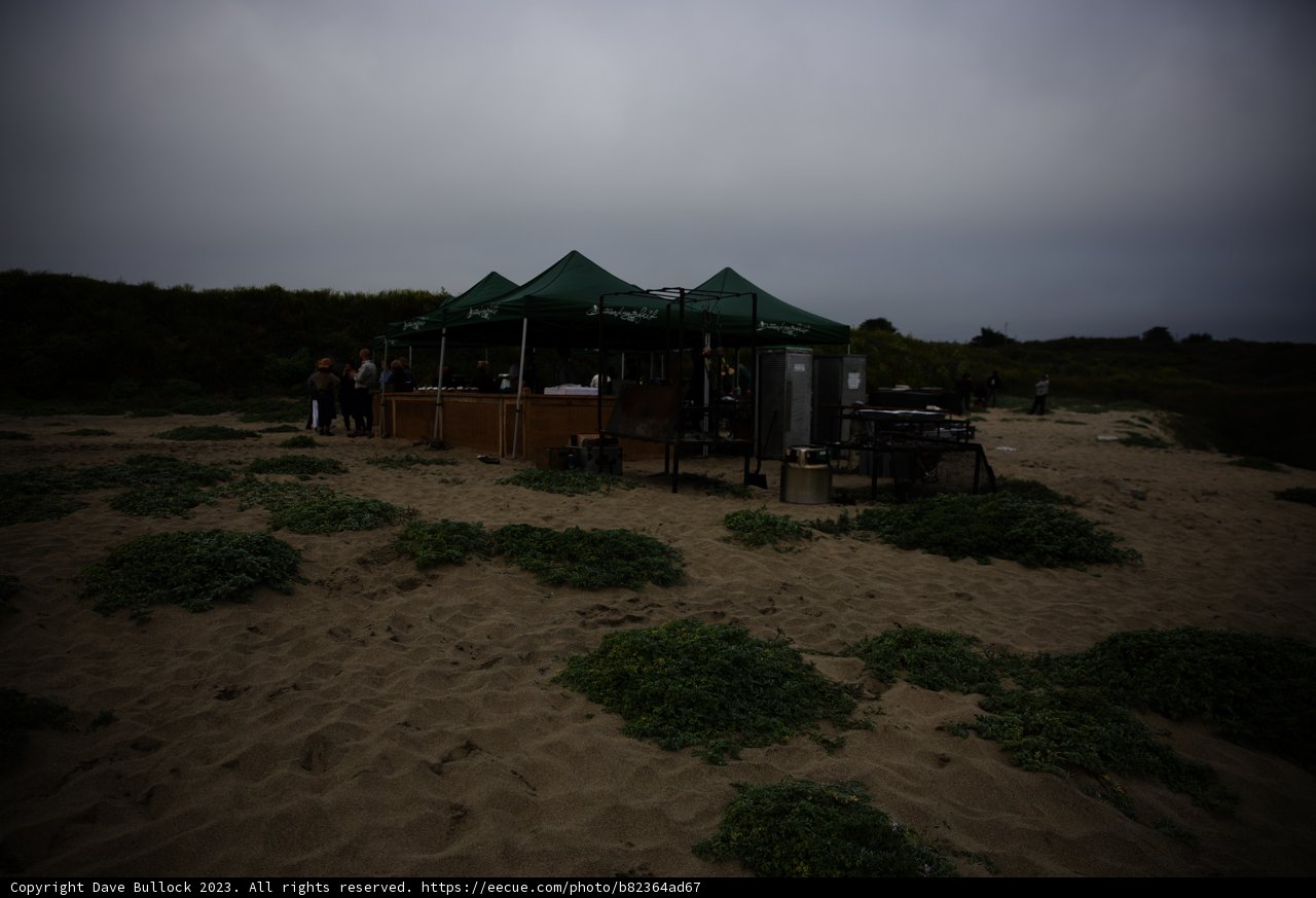 Beachside Bonding in Pescadero