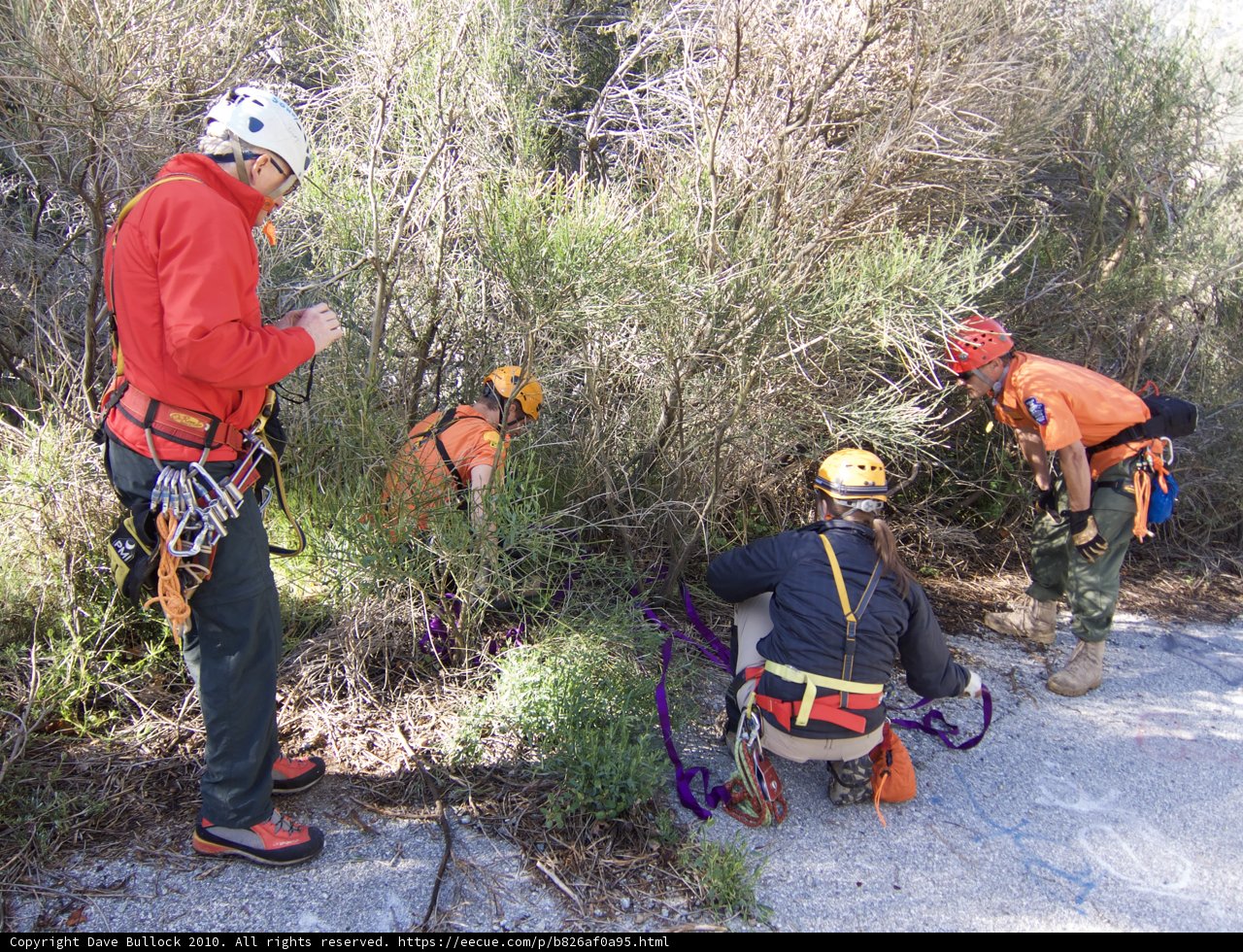 Safety Gear in Action