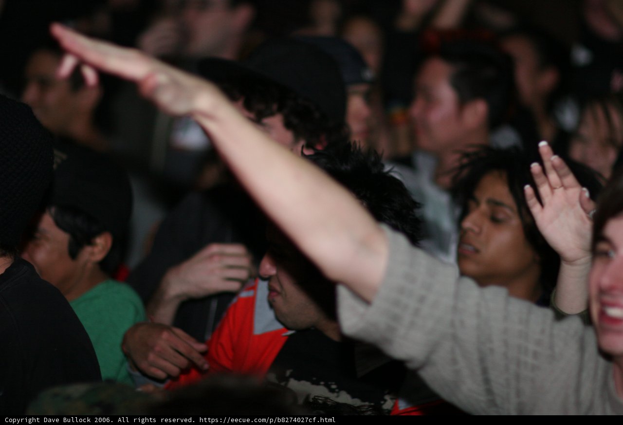 Electric Crowd