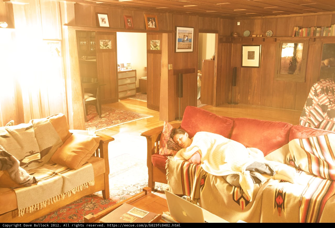 Sweet Dreams on the Sofa