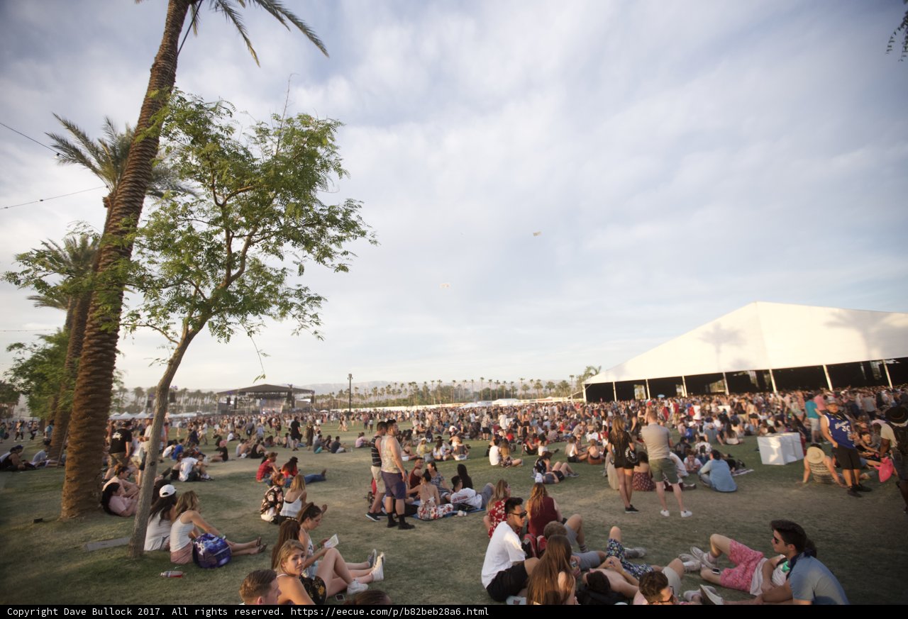 Summer Concert amid Palm Trees at Coachella