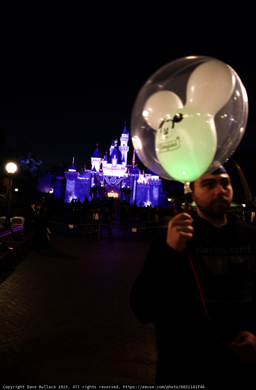 Magical Balloon Adventure in Disneyland