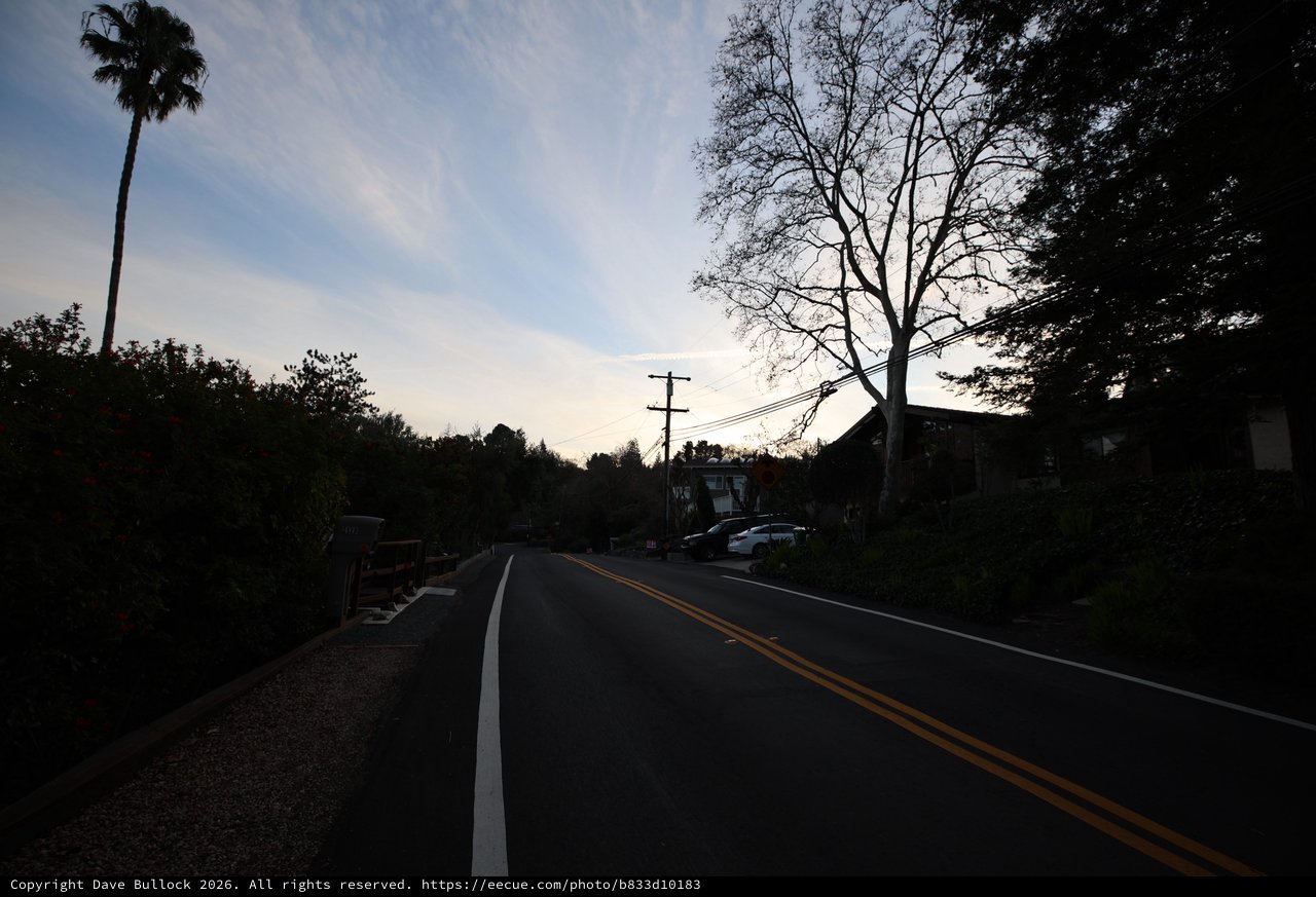 Twilight Road in Suburban Neighborhood