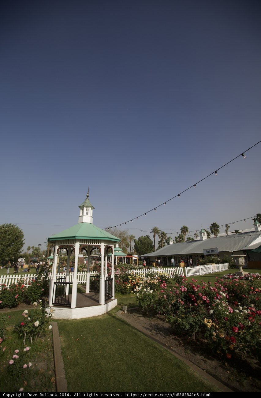Gazebo in the Park