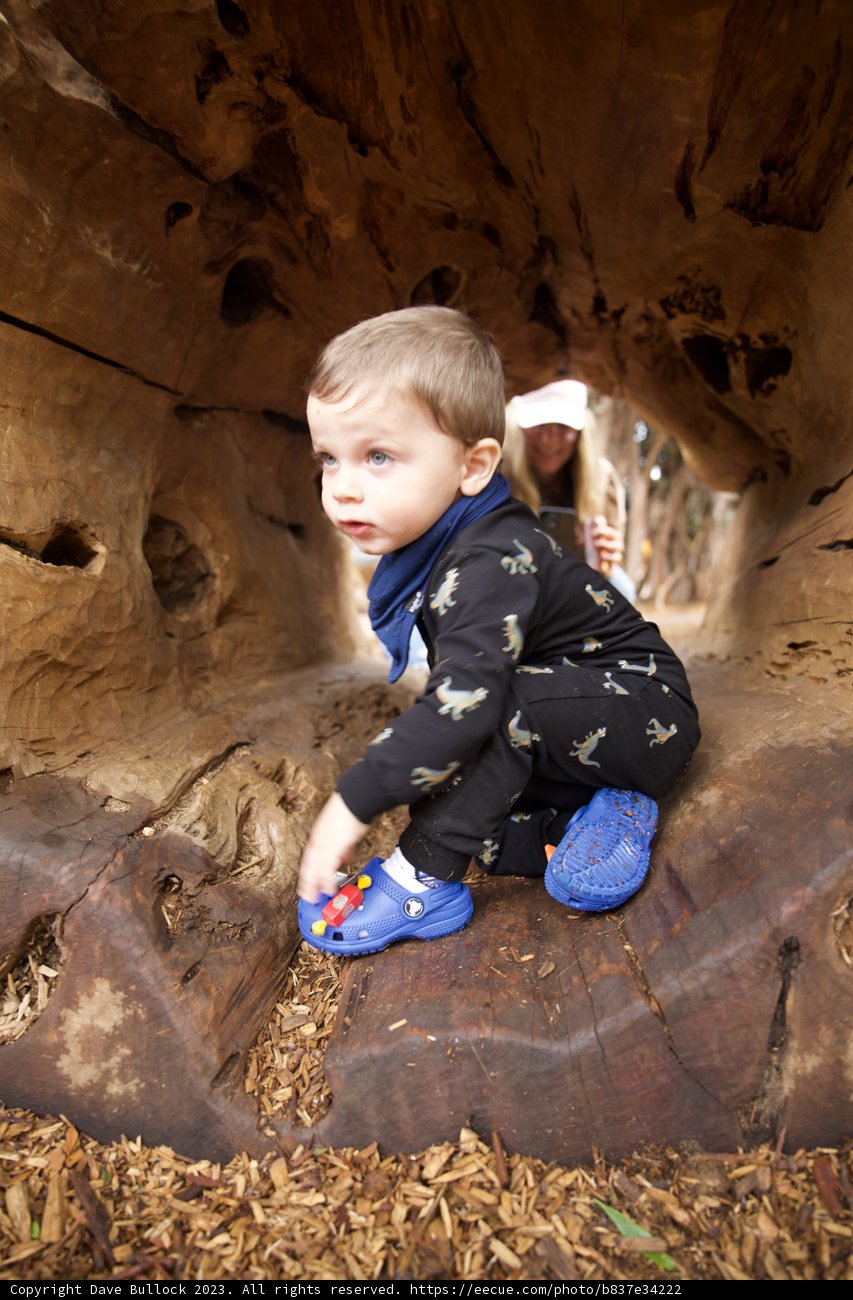 Adventure in Nature: A Little Discoverer