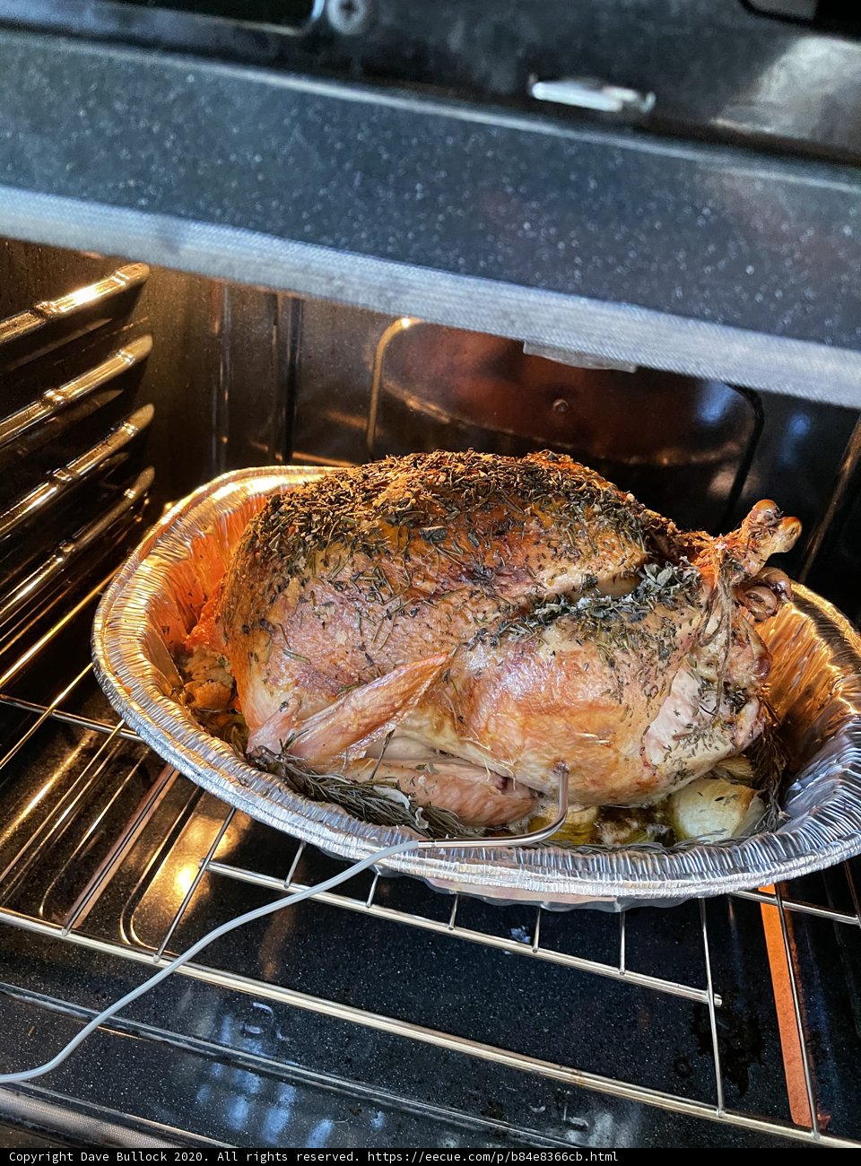 Thanksgiving Turkey Roasting in San Francisco