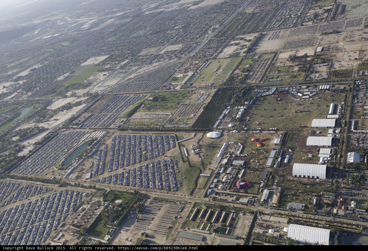 Skyline of the Urban Jungle