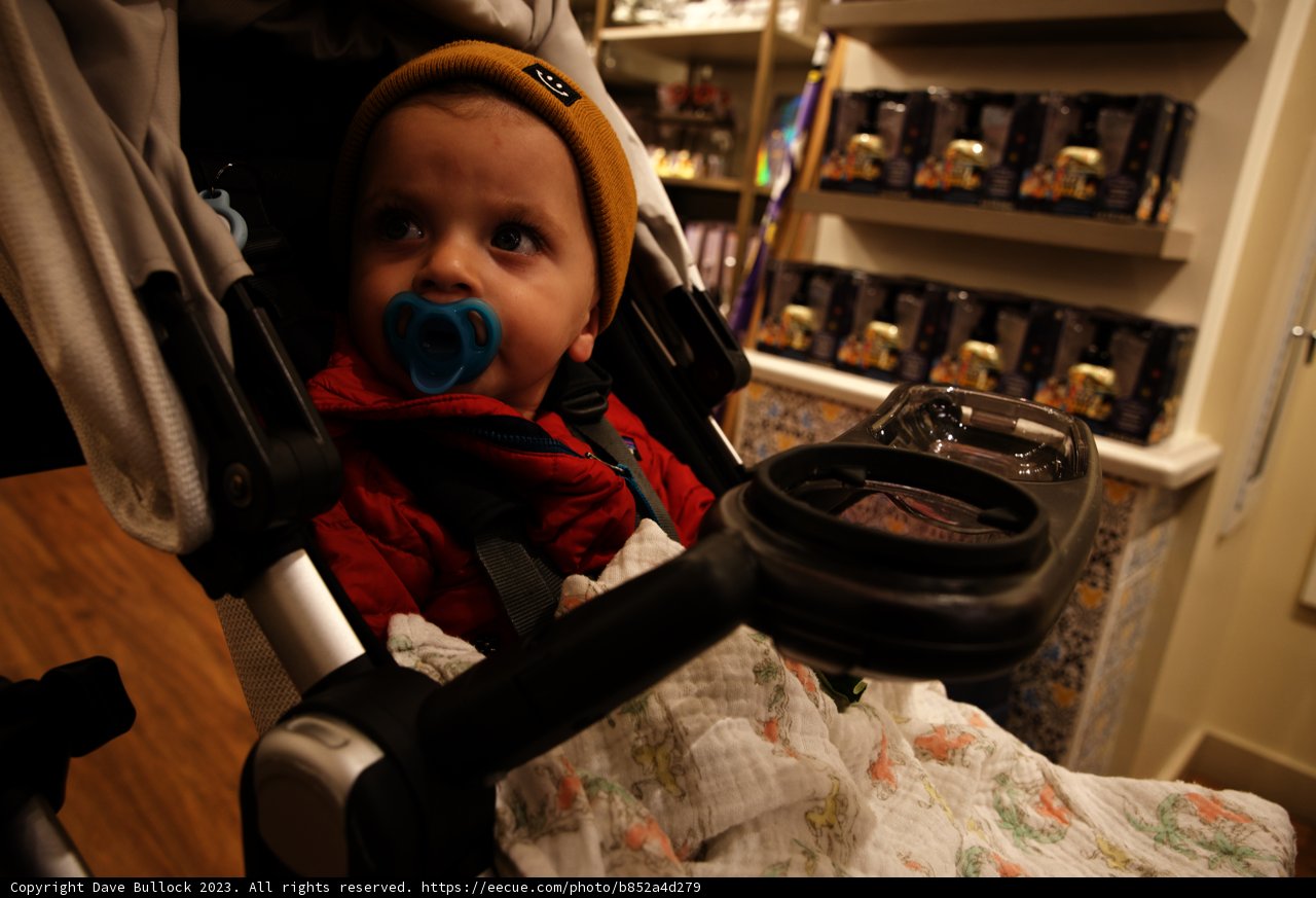 Little Explorer's Magical Day