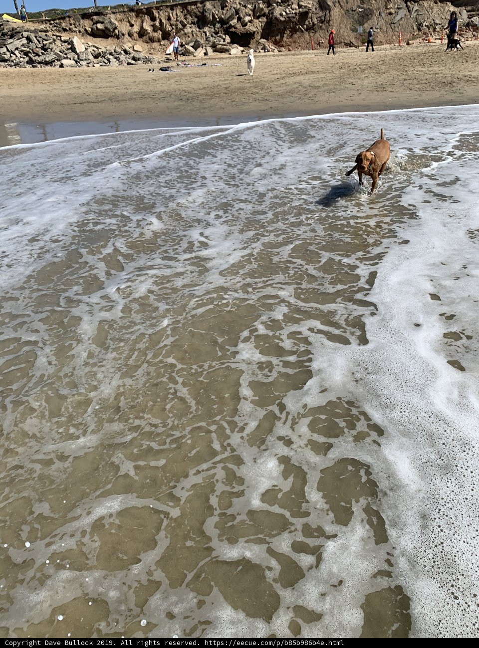 Running Free
