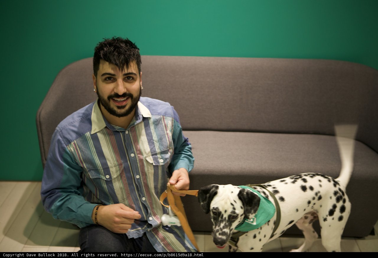 Man's Best Friend on the Couch