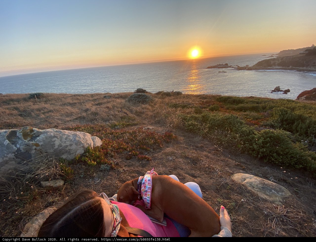 Basking in the Golden Hour at Jenner Beach
