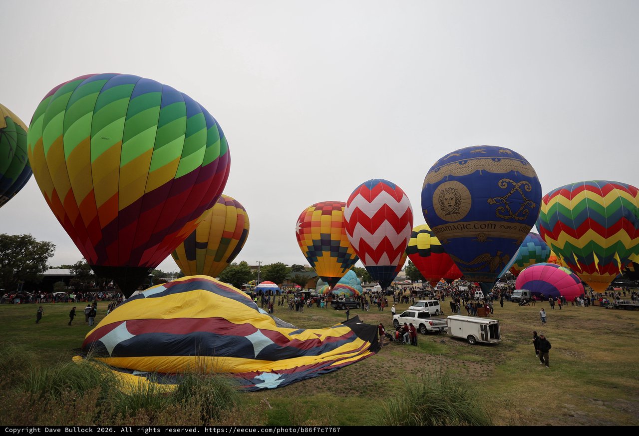Colorful Hot Air Balloons Rise at Sonoma County Classic
