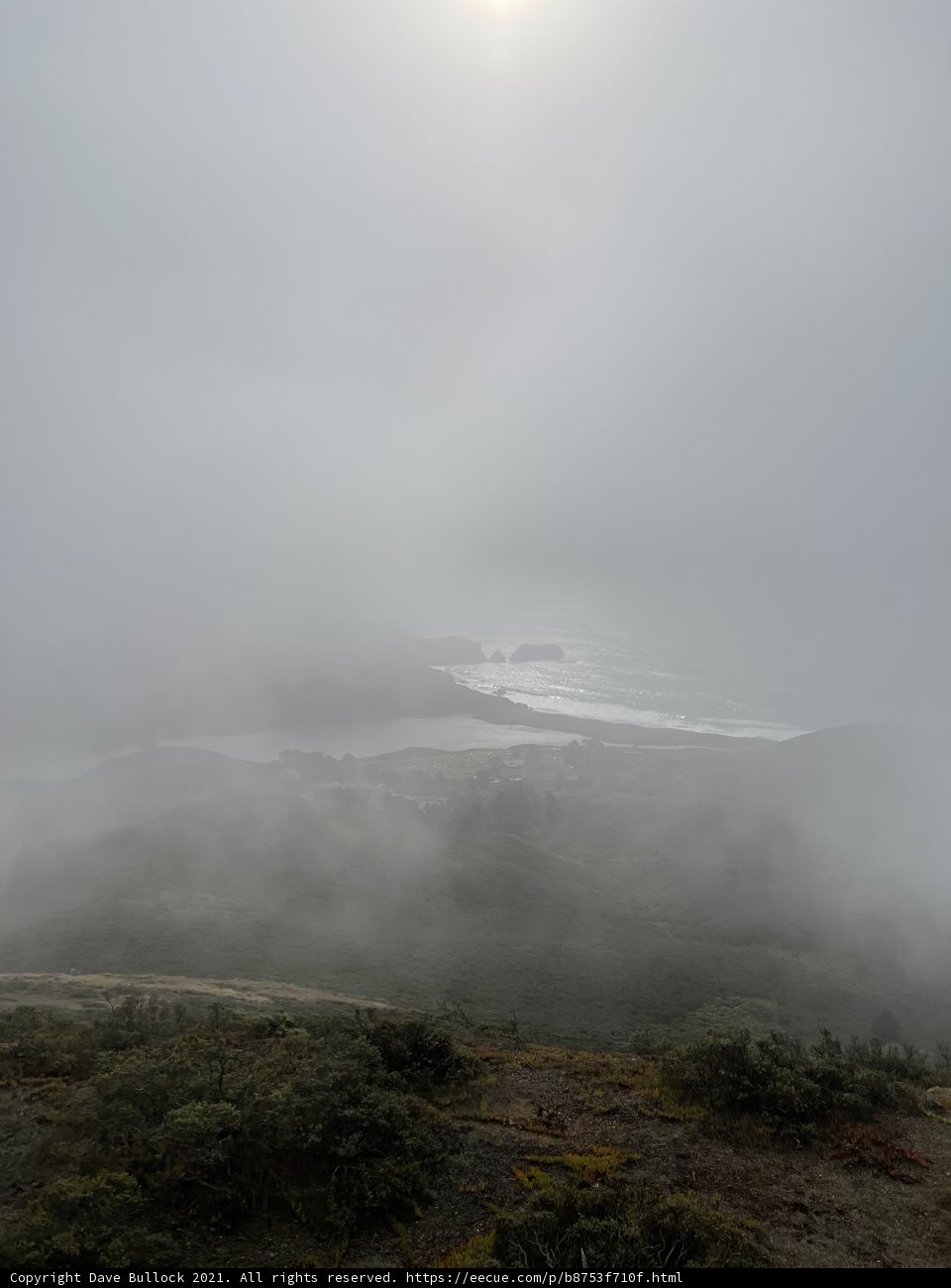 A Sunny View from the Misty Hillside