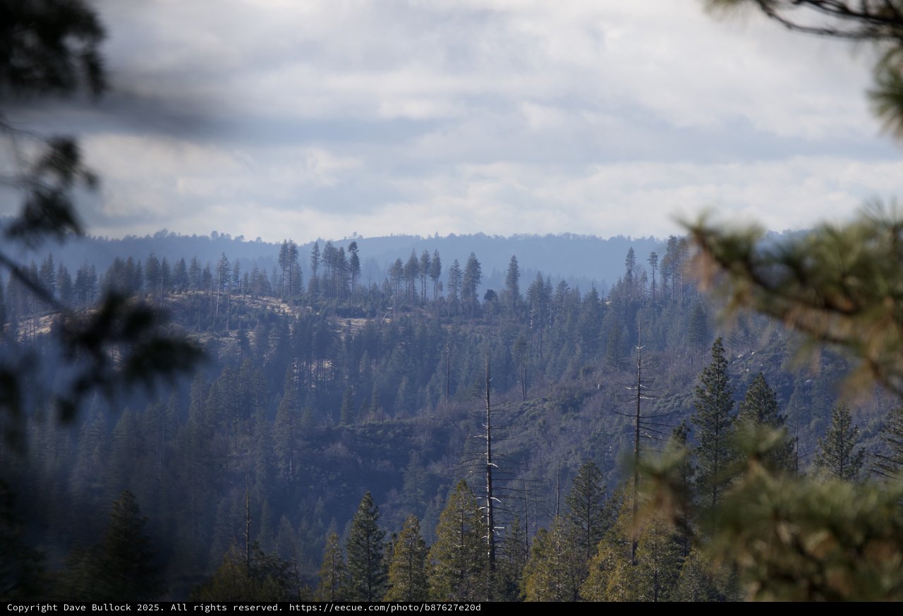 Smoke and Haze Over Fire-Scarred Sierra Nevada Forest