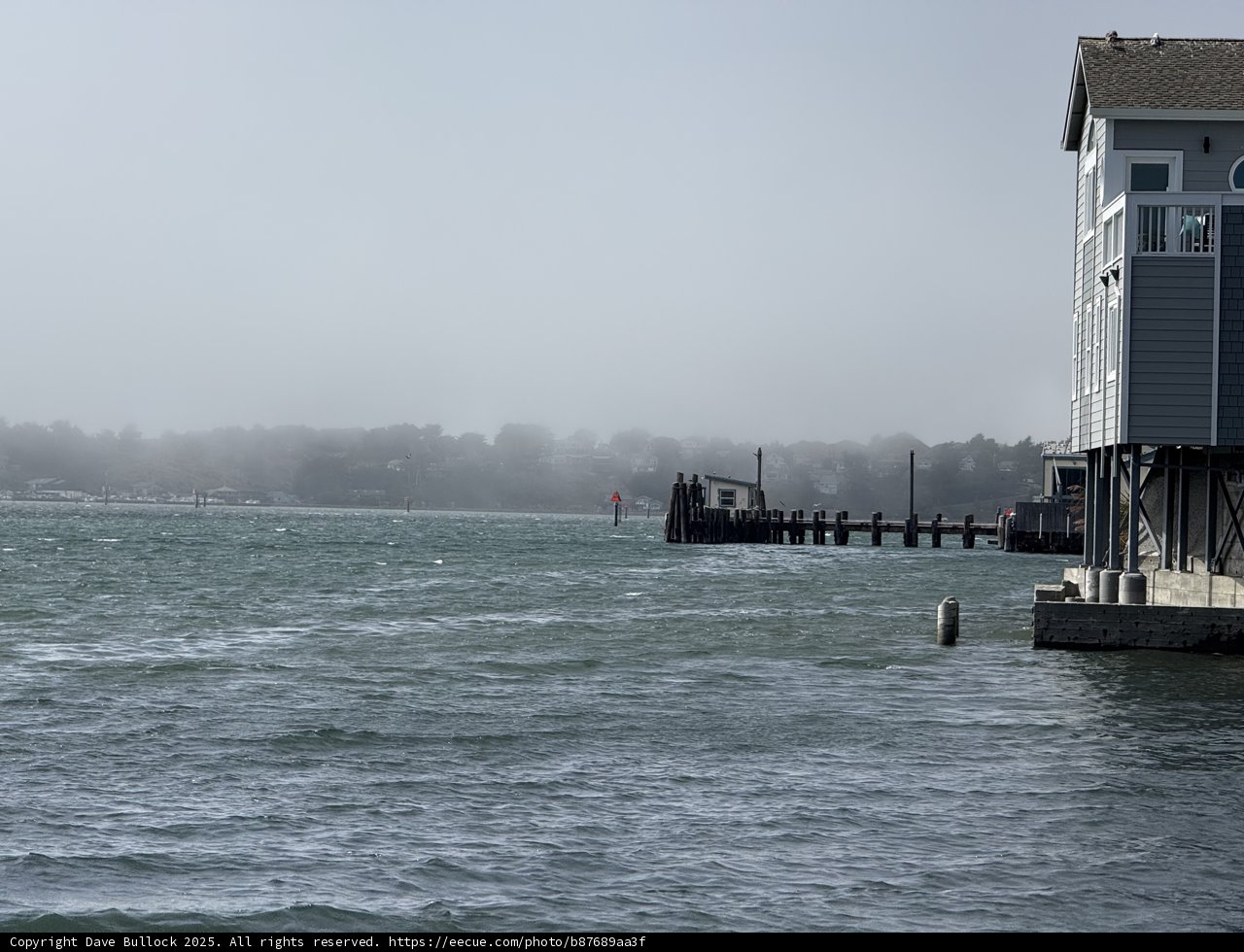 Serene Afternoon at Bodega Bay