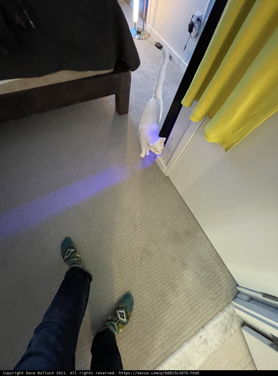 Indoor Vibes