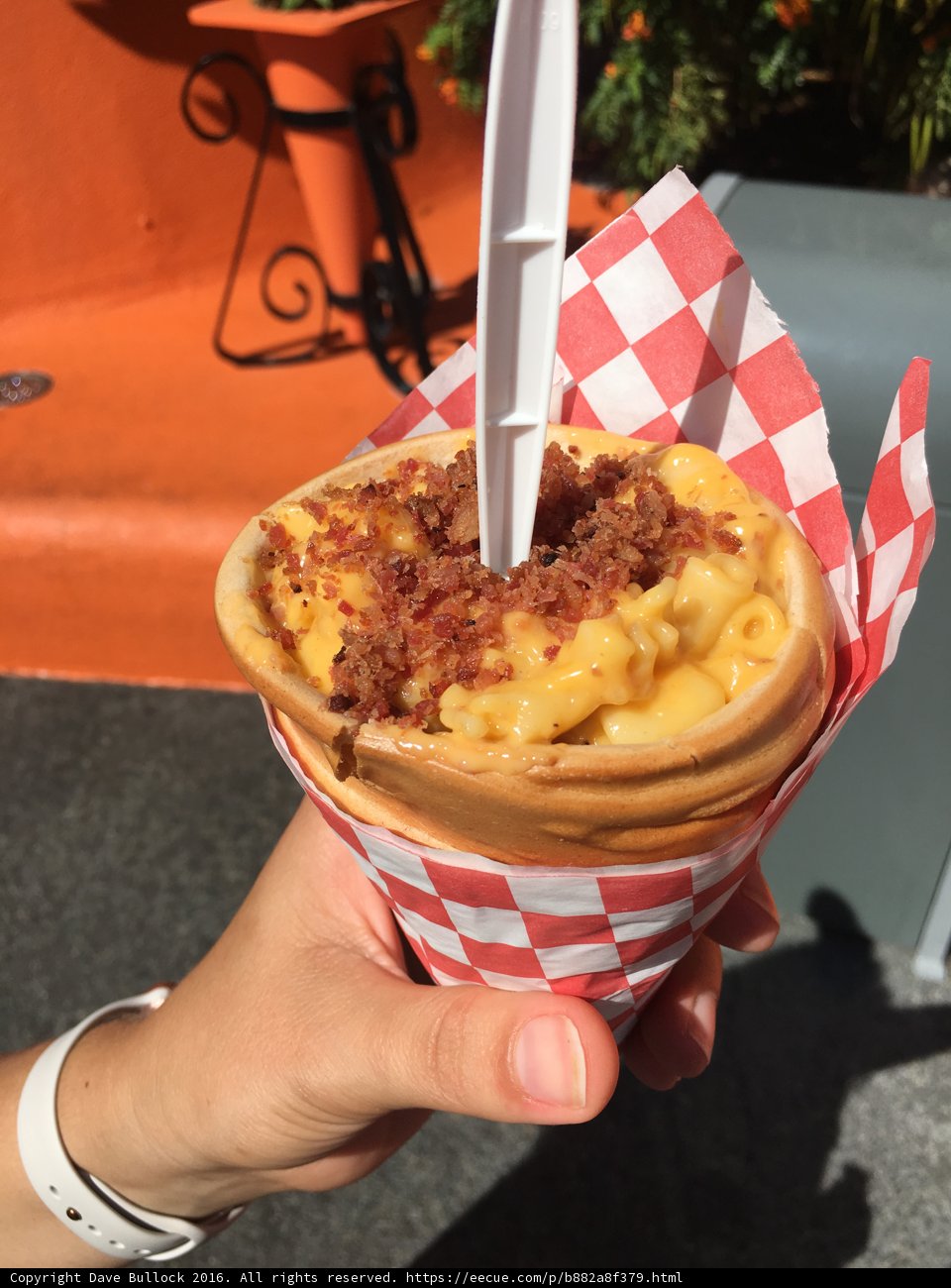 Delicious Mac and Cheese in Disneyland