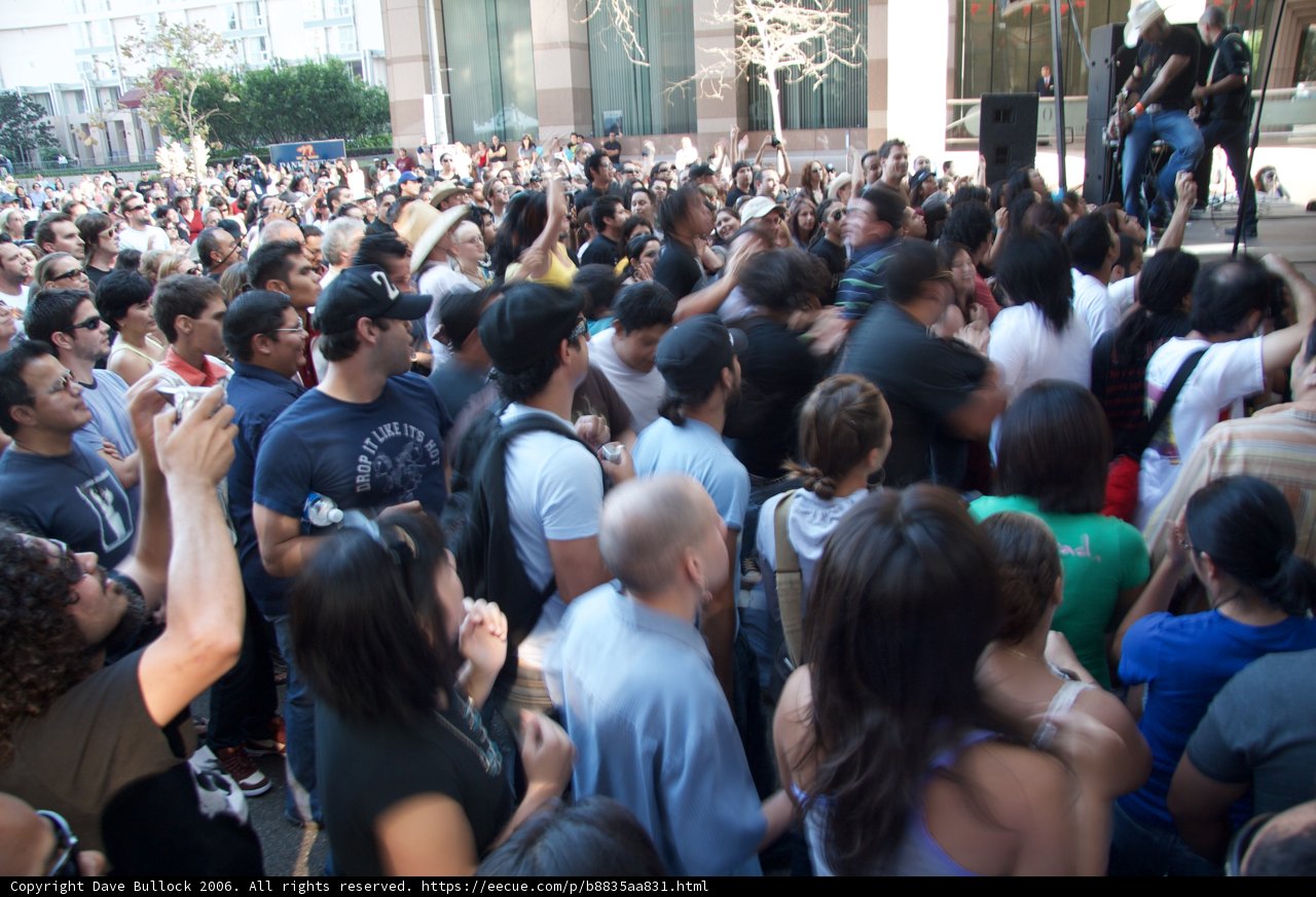 A Sea of Headgear