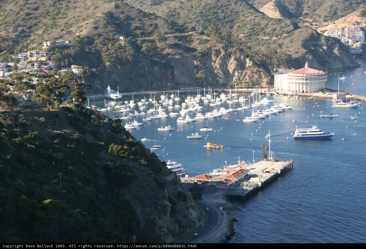 A Bustling Harbor Scene