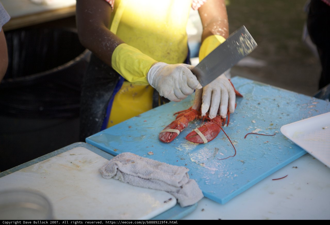 Lobster Cutting Master