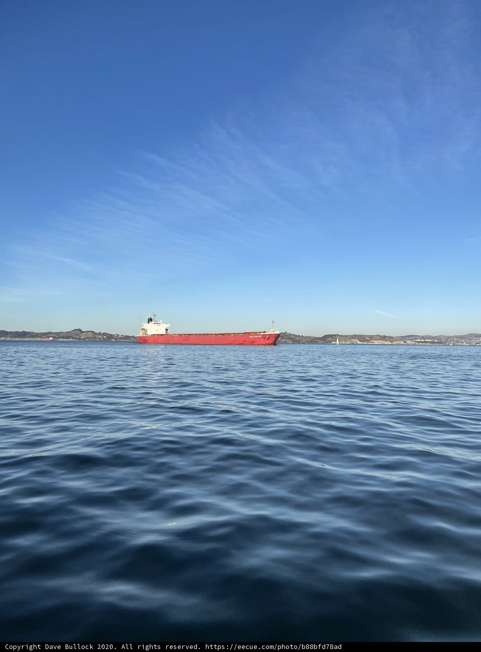 Gliding Through the San Francisco Bay