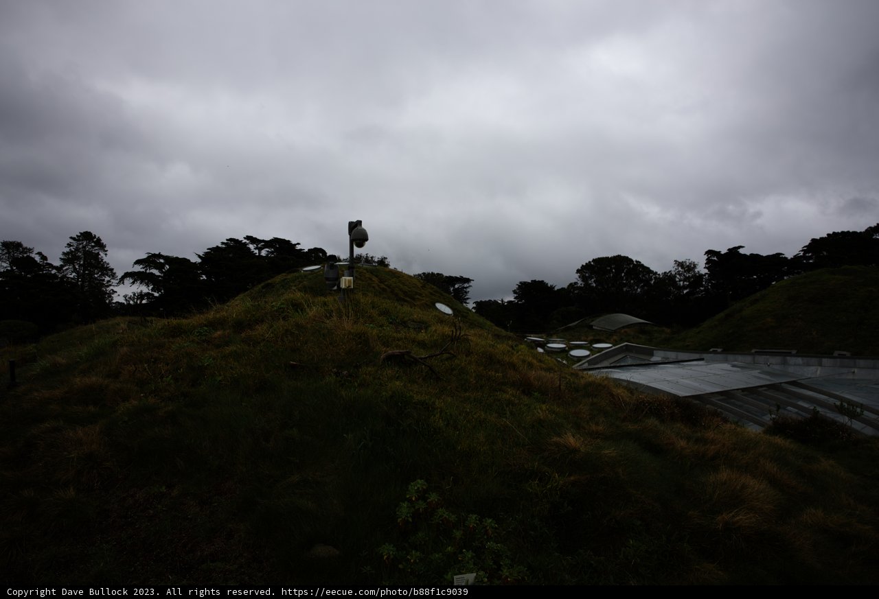 Serenity on the Hill